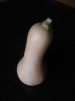 DSC_0727.jpg
