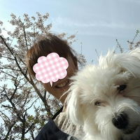 2016-04-09_10.50.27.jpg