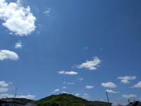 IMG_20160602_112354.jpg