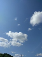 IMG_20161006_103102.jpg