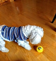 IMG_20170108_132741.jpg