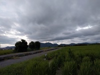 IMG_20170917_054015.jpg