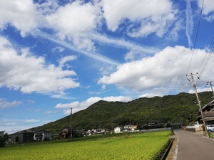 IMG_20180922_143652.jpg
