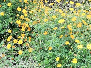 IMG_20180922_145057.jpg