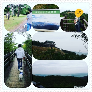 PhotoGrid_1537842219468.jpg