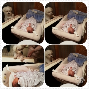 PhotoGrid_1541075201498.jpg