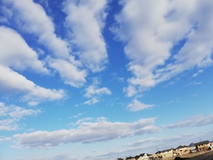 IMG_20190129_153559.jpg