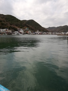 IMG_20190321_134350.jpg