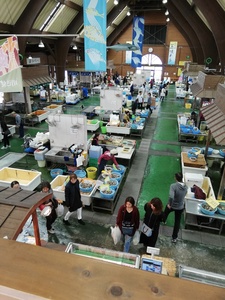 IMG_20190321_135812.jpg