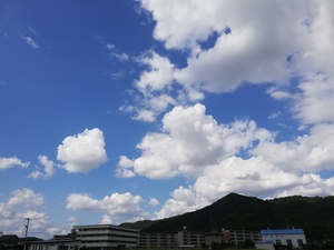 IMG_20190612_150820.jpg