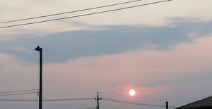 IMG_20190622_052748.jpg