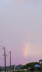 IMG_20190806_052441.jpg