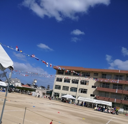 IMG_20191016_115037.jpg
