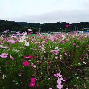 IMG_20191021_185434_030.jpg