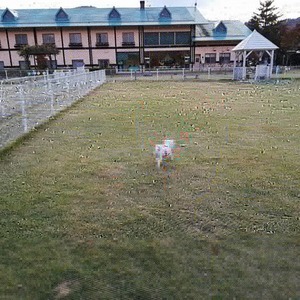 IMG_20191111_184016_969.jpg