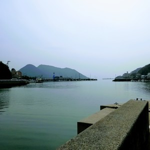 IMG_20200203_115359.jpg