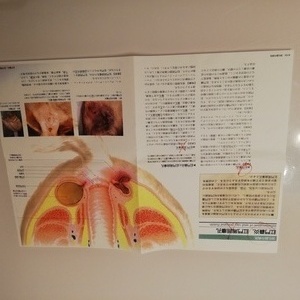 IMG_20200308_212855.jpg