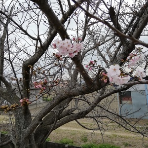 IMG_20200322_153549.jpg