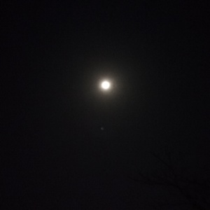 IMG_20200407_211614.jpg