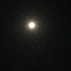 IMG_20200407_211550.jpg