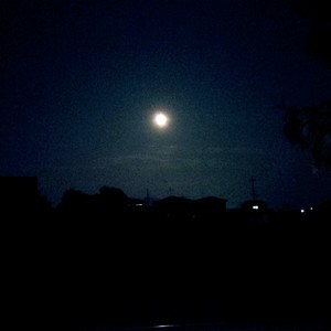 IMG_20200804_212910.jpg