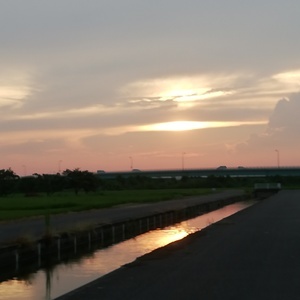 IMG_20200822_181827.jpg