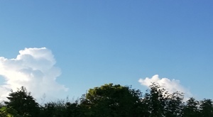 IMG_20200831_132057.jpg
