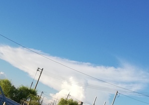 IMG_20200831_132032.jpg