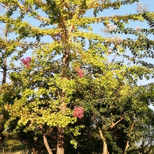 IMG_20200908_170935.jpg