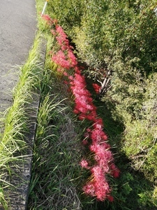 IMG_20201002_154036.jpg