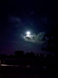 IMG_20201002_210749.jpg
