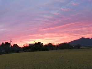 IMG_20201016_060614.jpg