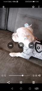 Screenshot_20201106_124637_com.google.android.apps.photos.jpg