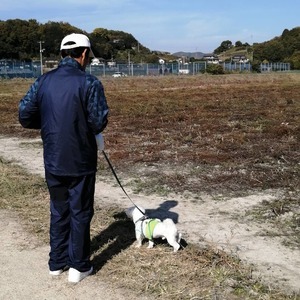 IMG_20201115_185050_948.jpg