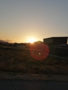 IMG_20210101_073111.jpg