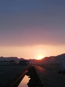 IMG_20210204_071316.jpg