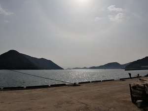 IMG_20210211_125224.jpg