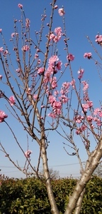 IMG_20210323_160818.jpg